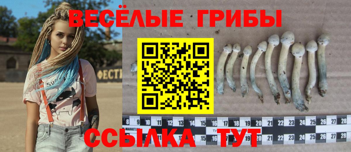 Псилоцибиновые грибы Cubensis Екатеринбург